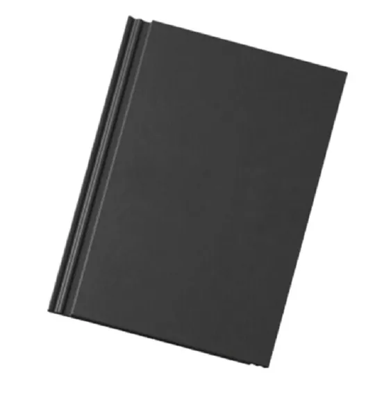 Střešní krytina Bramac Tegalit NOVO základní / břidlicově černý, betonová