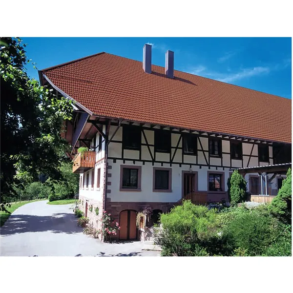 Střešní krytina Nelskamp Nibra DS10 základní / režná, pálená  (výprodej)